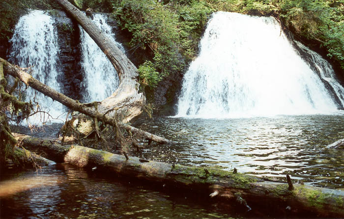 Waterfall 3.jpg 102.3K