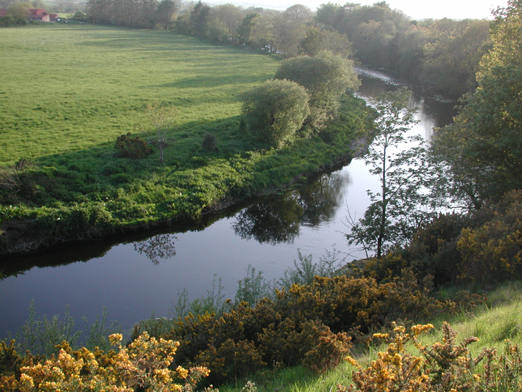 Bandon River 3.jpg